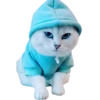 Gatitos 3 Clásica 20