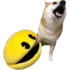 Perro Dramático 5