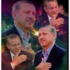 Bune 11