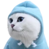 Gatitos 3 Clásica 25