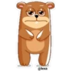 🐻❤️Bear Emoji❤️🐻 27