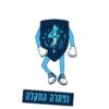 Tomer Test 23