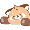 Cute Red Panda 20