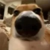 jajajaajjajja 12 25