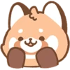 Cute Red Panda 21