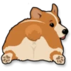 Corgi emojis 🐶🐶 2 18