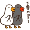 duckmom 26