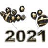 Feliz Año Nuevo 2021 29