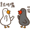 duckmom 29
