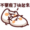 Blanket Meow 24