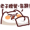 sleep meow 29