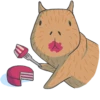 Capybara&Co 30