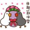 duckmom 30