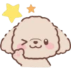 Perrito Bonito 5