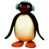 Pingu 9