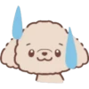 Perrito Bonito 8