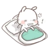 SongSong Bunny 8
