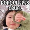 PORQUE ERES
CRUEL
COKKI