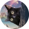 Gatitos 8