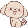 Perrito Bonito 9