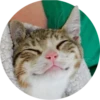 Gatitos 9