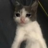 Sad 8