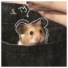 Hamsters  🐹💖 2 C☆ 11