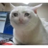 Sad 10