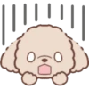Perrito Bonito 11
