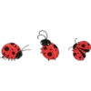 Ladybug🐞❥☯︎ͫ1🇲🇽Clásica 9