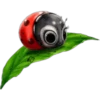 Ladybug🐞❥☯︎ͫ1🇲🇽Clásica 10