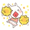 SongSong Bunny 16