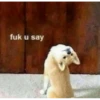 cursed animals 10