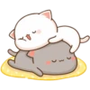 Peach and Goma 17