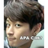APA CIH?