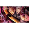 Demon slayer 17