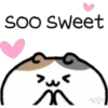 Cute Pets 18