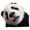 Funny Pandas 6