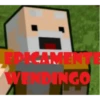 FRICAMENTE W INGO