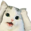 >opiATEAPHT 19