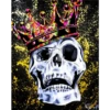 Skulls❥☯︎ͫ2🇲🇽Clásica 14