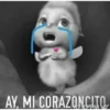 Sad's 21