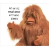 Stan BTS 20