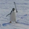 cursed animals 13