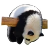 Funny Pandas 7