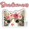 ❤️🥺 Cositas Nindas 🥺❤️ 18