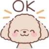 Perrito Bonito 15