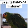 Stickers de Gonzalo 9