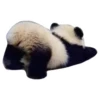 Funny Pandas 8
