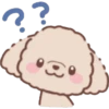 Perrito Bonito 16